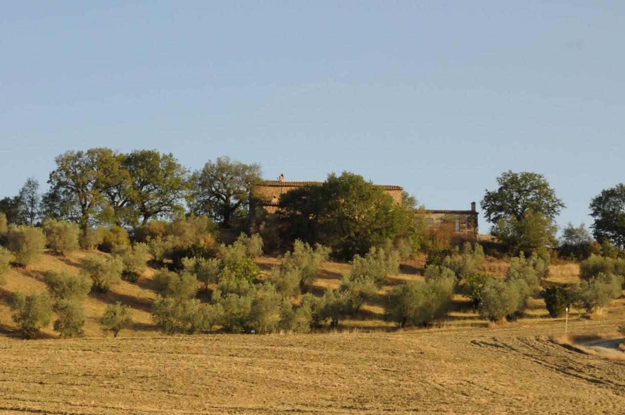 Podere Palazzo Castiglione dʼOrcia Exterior foto